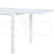 Mesa Alumino Palma Extensible